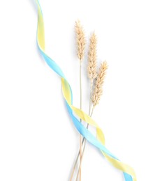 Photo of Ears of wheat with ribbons in colors of Ukrainian national flag isolated on white, top view