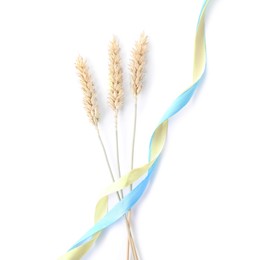 Photo of Ears of wheat with ribbons in colors of Ukrainian national flag isolated on white, top view