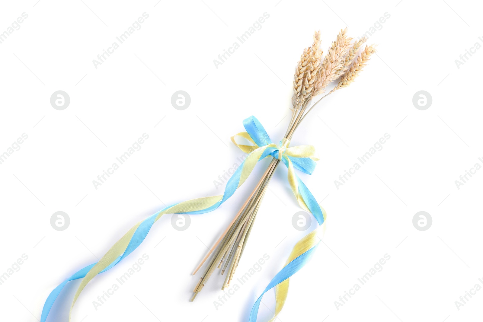 Photo of Ears of wheat with ribbons in colors of Ukrainian national flag isolated on white, top view