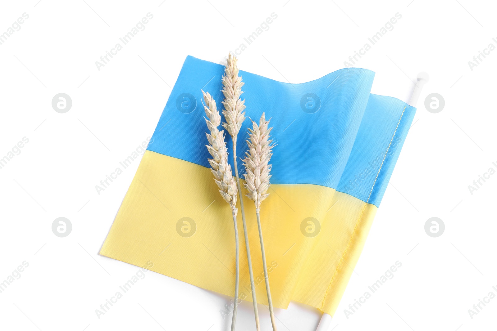 Photo of Ears of wheat and Ukrainian national flag isolated on white