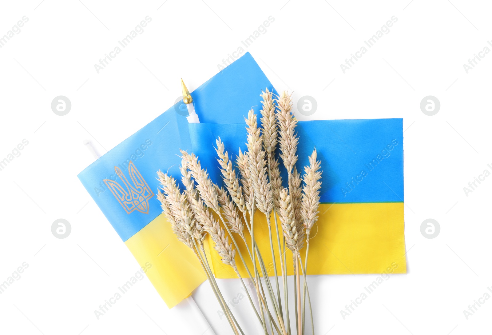 Photo of Ears of wheat and Ukrainian national flag isolated on white, top view