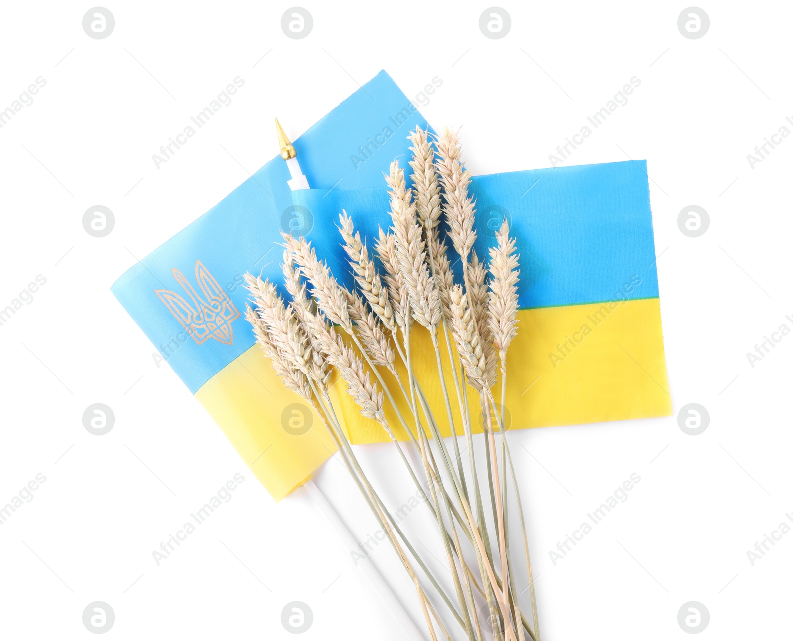 Photo of Ears of wheat and Ukrainian national flag isolated on white, top view