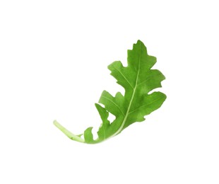 Photo of One fresh arugula leaf isolated on white