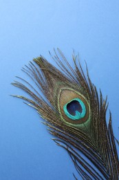 Photo of One beautiful peacock feather on blue background, top view