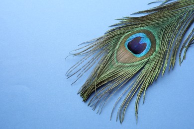 Photo of One beautiful peacock feather on blue background, top view. Space for text