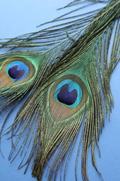 Photo of Two beautiful peacock feathers on blue background, closeup