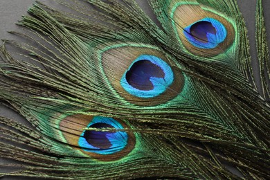 Photo of Many beautiful peacock feathers on black background, closeup