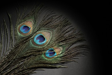 Many beautiful peacock feathers on black background, top view