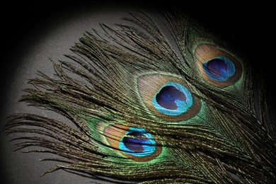 Many beautiful peacock feathers on black background, top view