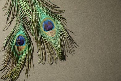 Two beautiful peacock feathers on light brown background, top view. Space for text