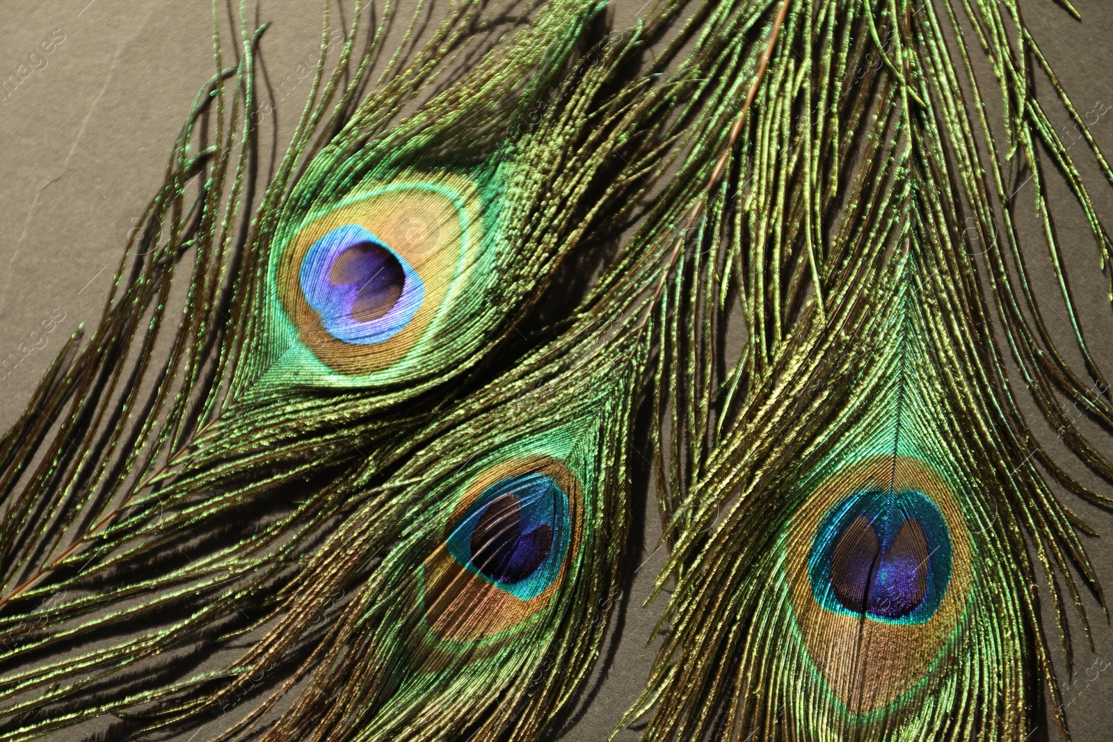 Photo of Many beautiful peacock feathers on light brown background, top view