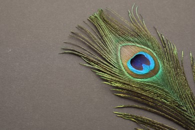 Photo of One beautiful peacock feather on dark grey background, closeup. Space for text