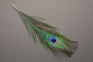 Photo of One beautiful peacock feather on dark grey background, top view