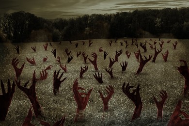 Hands of monsters sticking out of ground in misty meadow