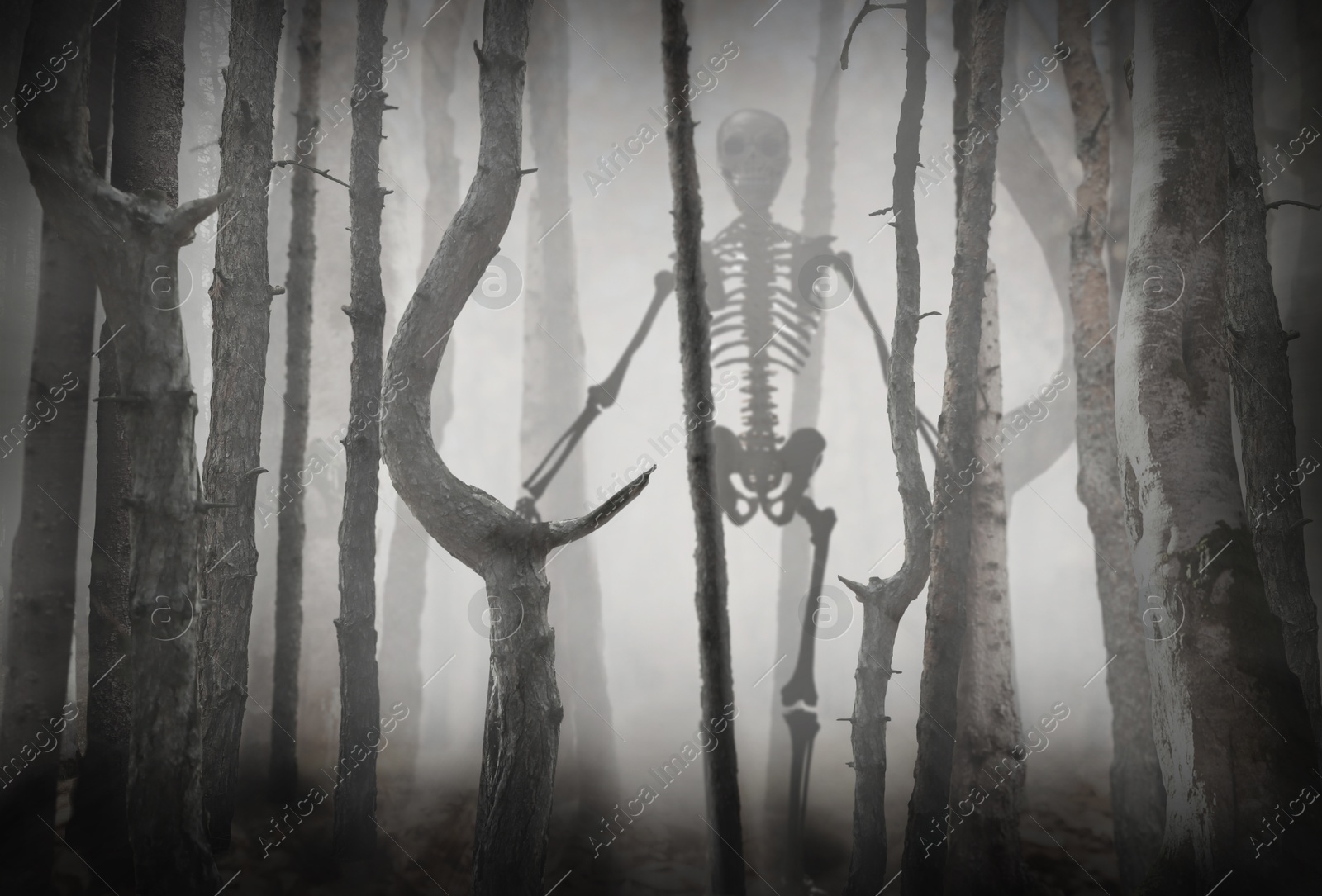 Image of Scary skeleton among trees in misty forest