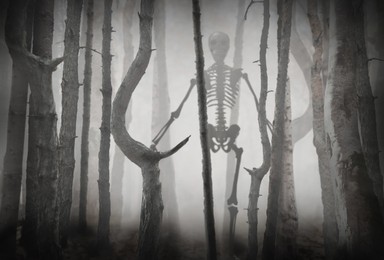 Scary skeleton among trees in misty forest