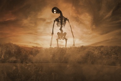 Image of Tremendous skeleton with tilted skull in misty meadow