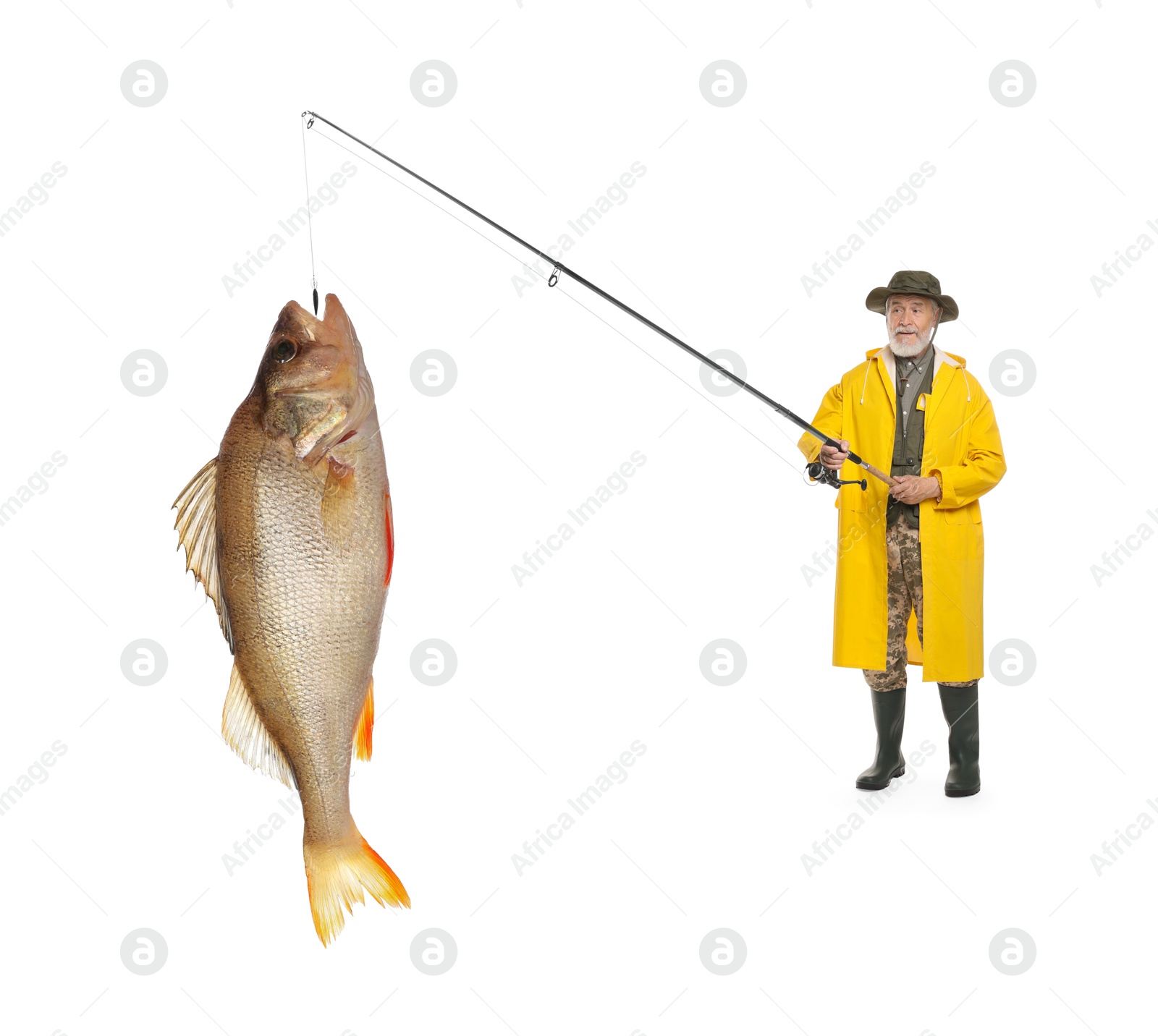 Image of Fisherman in yellow raincoat catching fish on white background