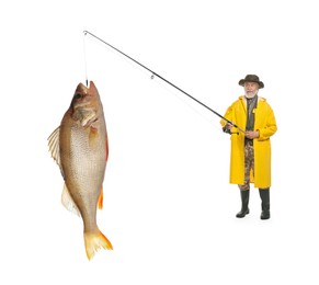 Fisherman in yellow raincoat catching fish on white background