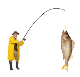 Fisherman in yellow raincoat catching fish on white background