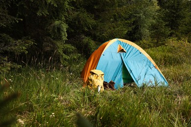 Tent on green grass in mountains, space for text