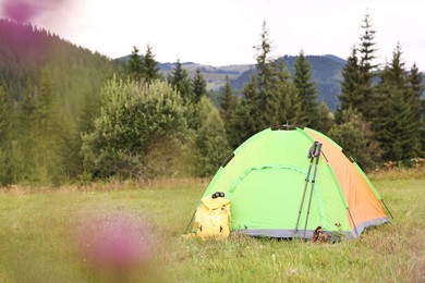 Tent, backpack and trekking poles on green grass in mountains