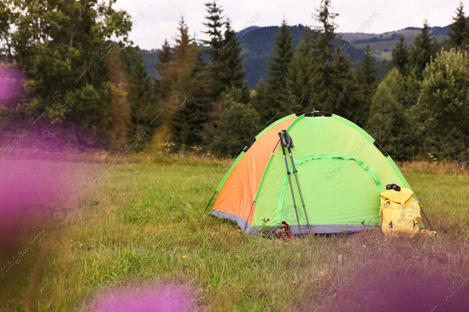 Photo of Tent, backpack and trekking poles on green grass in mountains