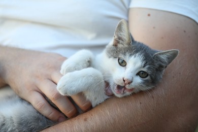 Photo of Cute little cat resting with owner, closeup