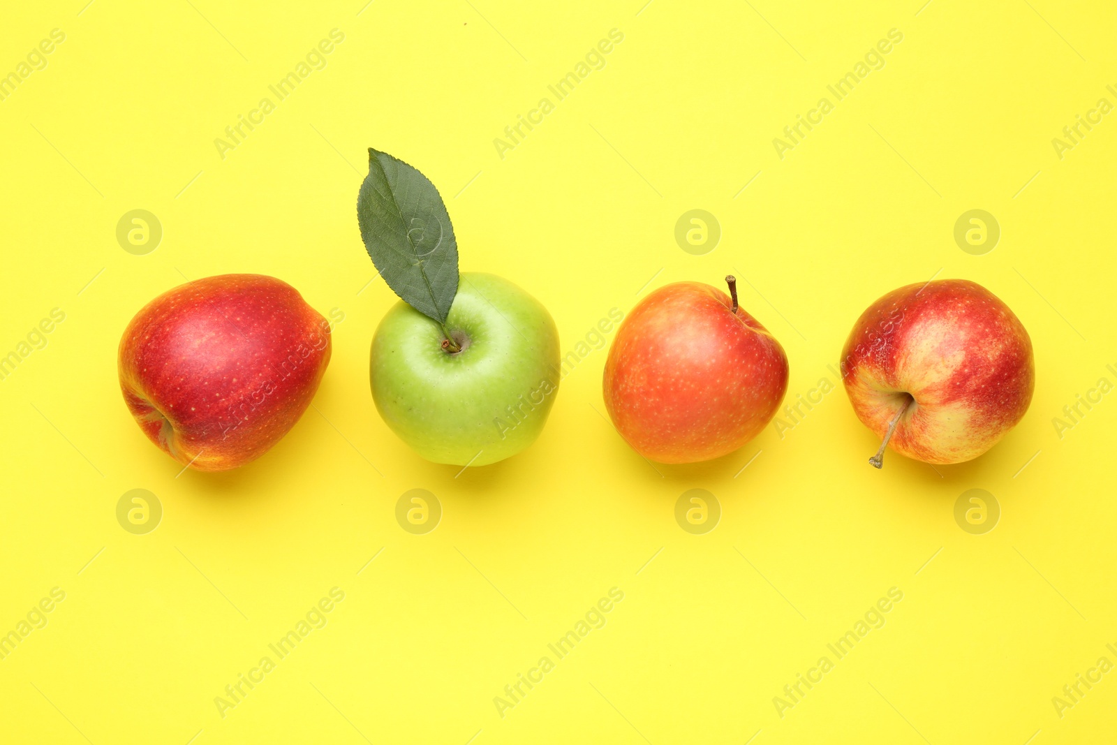 Photo of Red apples and green one on yellow background, flat lay