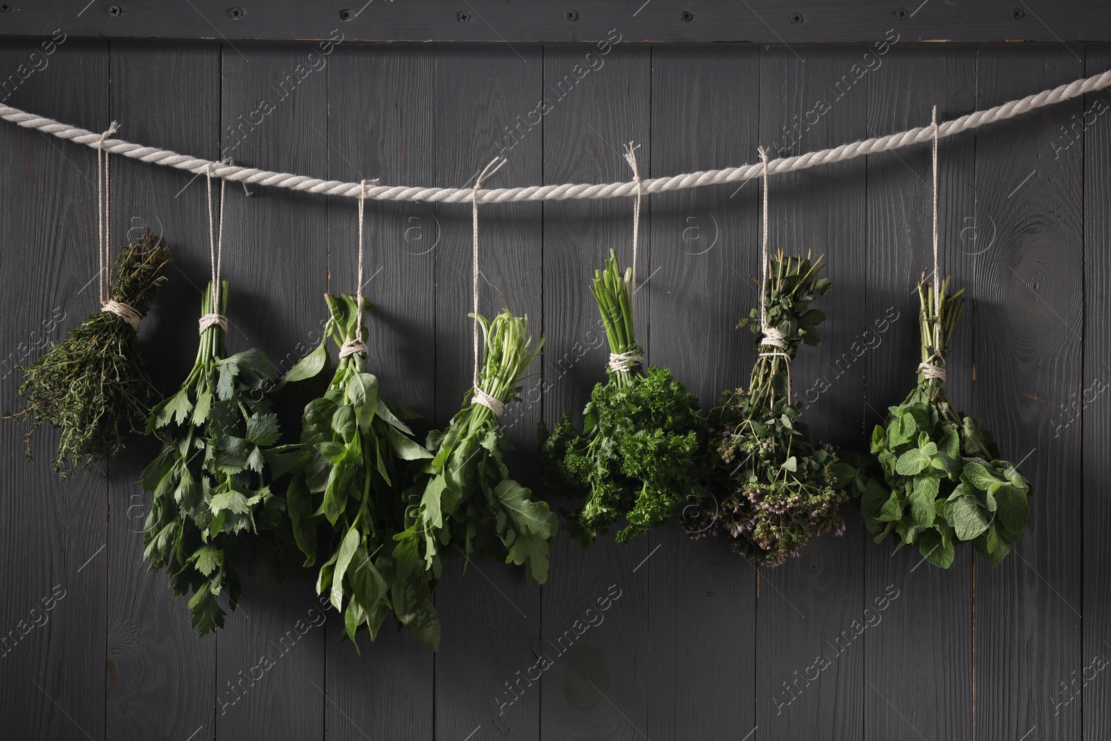 Photo of Bunches of different aromatic herbs hanging on rope near grey wooden wall