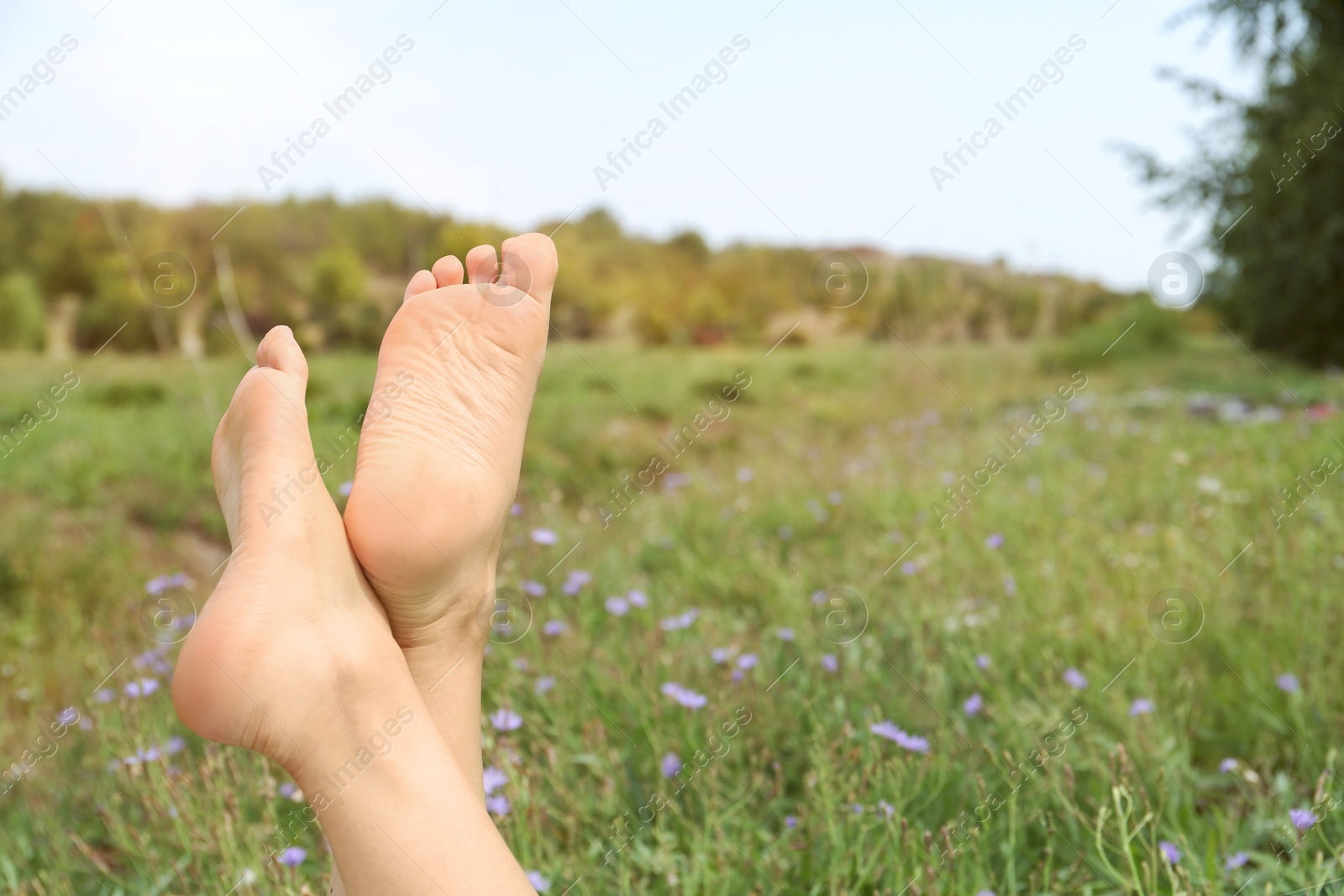 Photo of Woman lying barefoot on green grass outdoors, closeup. Space for text