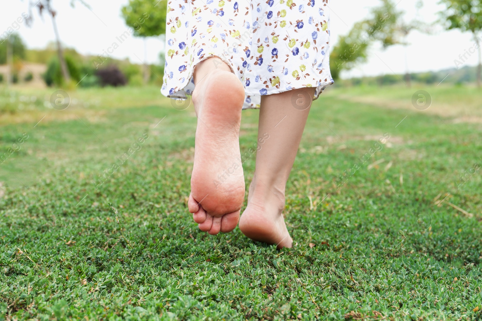 Photo of Woman walking barefoot on green grass outdoors, closeup