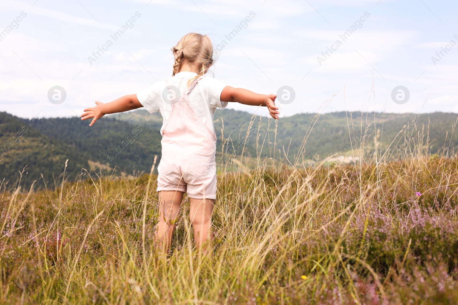 Photo of Cute little girl standing on meadow near mountains, back view