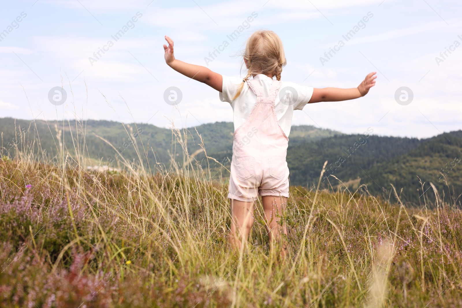 Photo of Cute little girl standing on meadow near mountains, back view