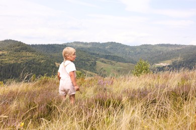 Cute little girl standing on meadow near mountains, back view. Space for text