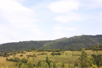 Photo of Beautiful view of forest in mountains under blue sky