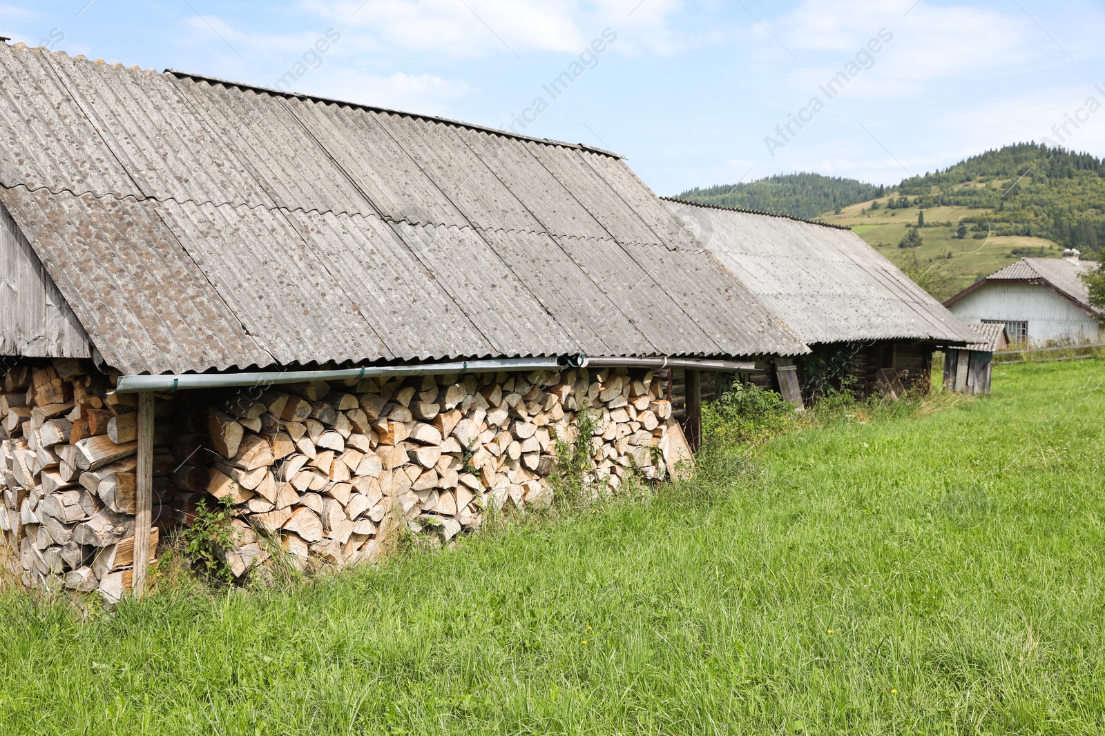 Photo of Stacked cut firewood in outdoor warehouse on sunny day