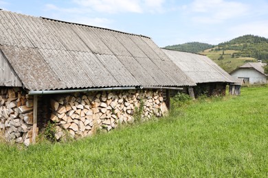 Stacked cut firewood in outdoor warehouse on sunny day