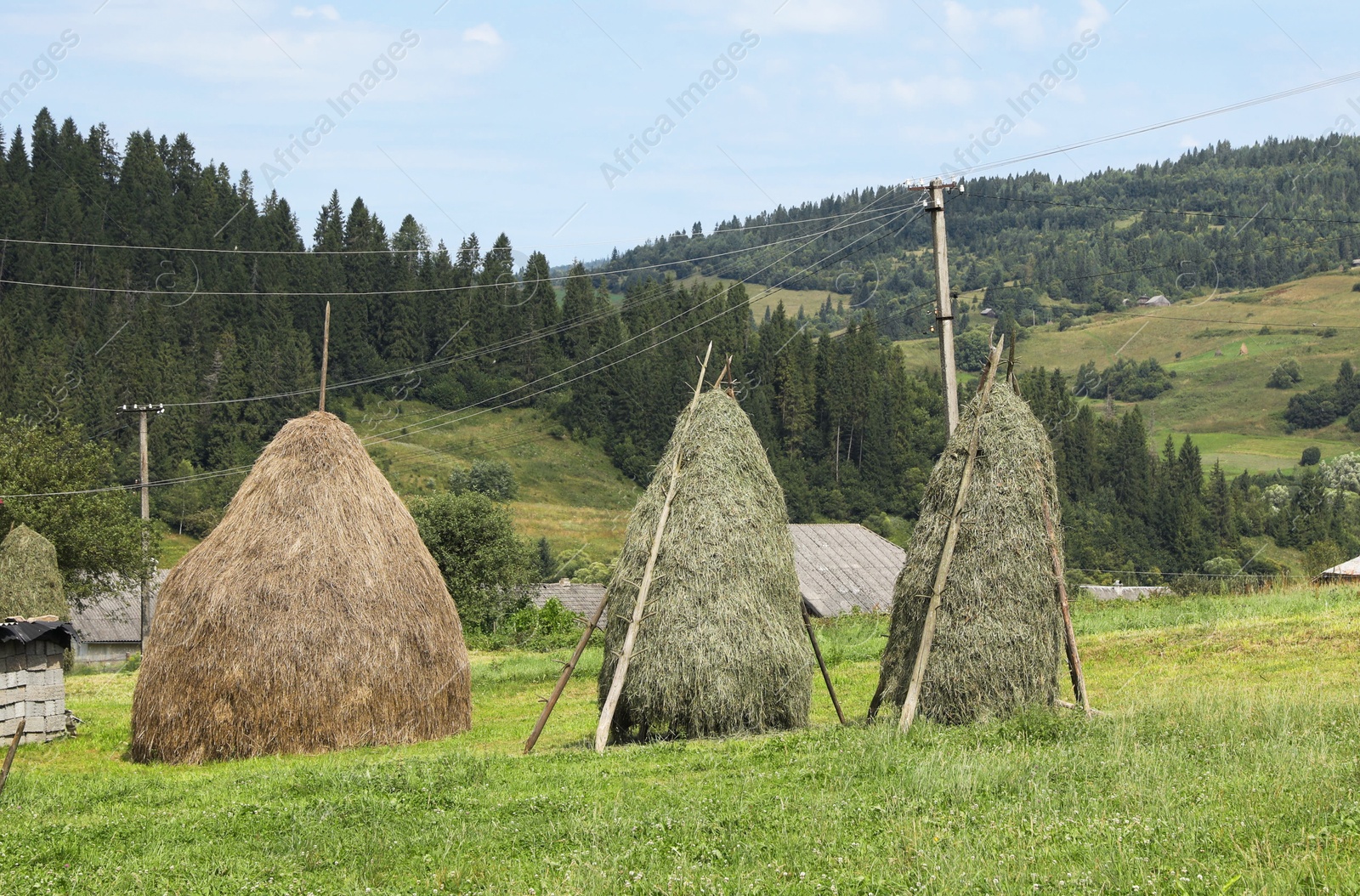 Photo of Pile of dried hay on field in mountains