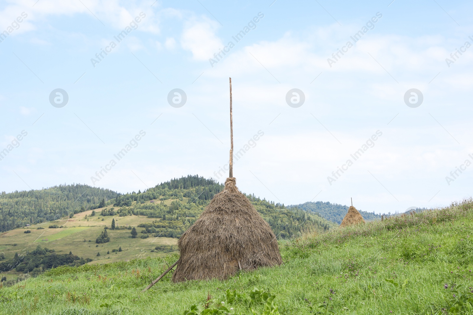 Photo of Beautiful view of forest in mountains under blue sky