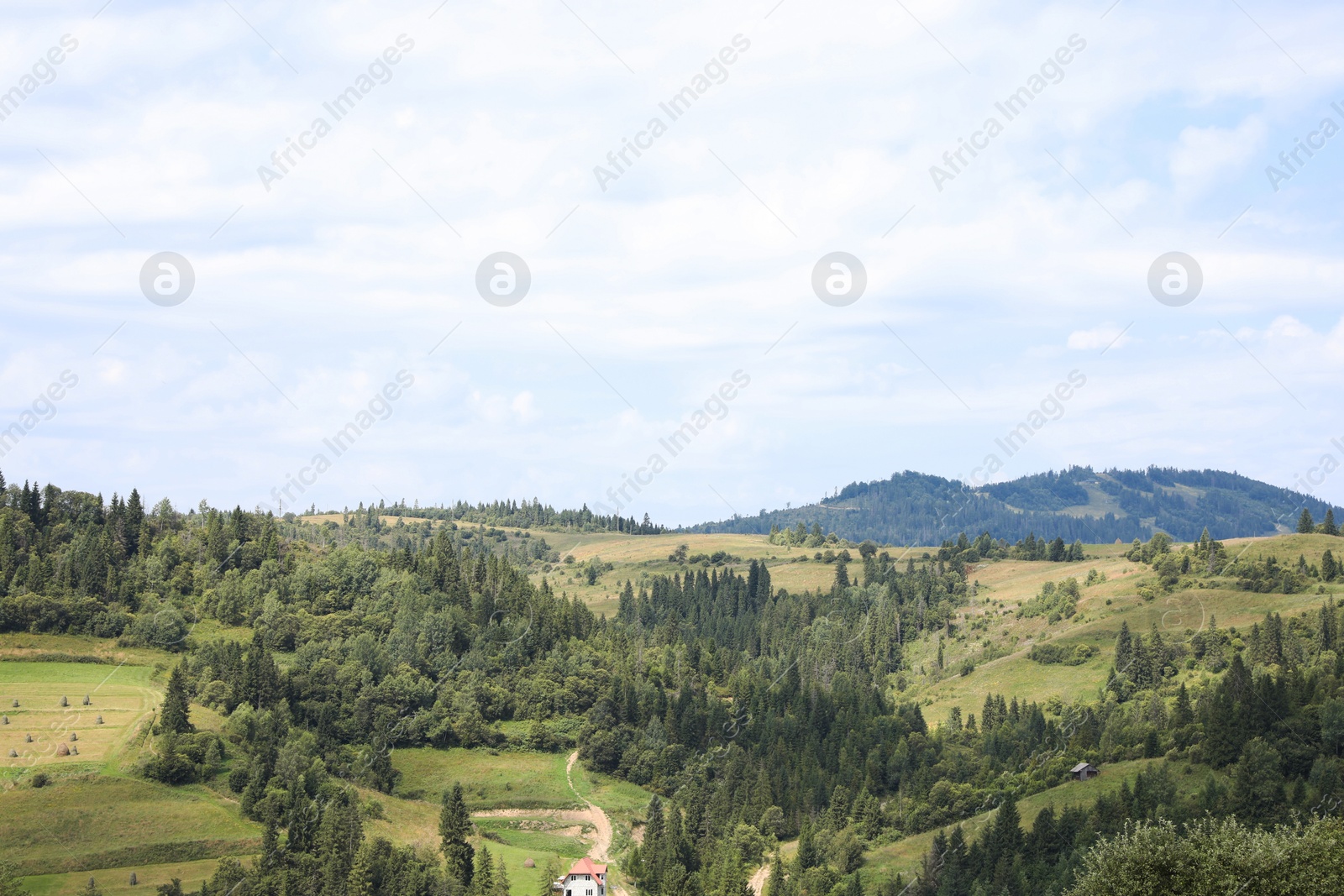 Photo of Beautiful view of forest in mountains under blue sky