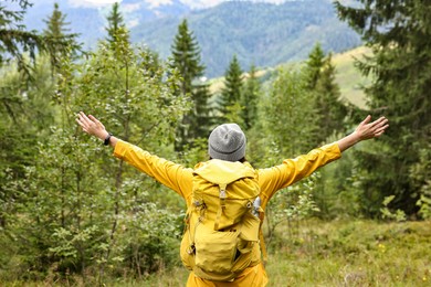 Young hiker with backpack in forest near mountains, back view