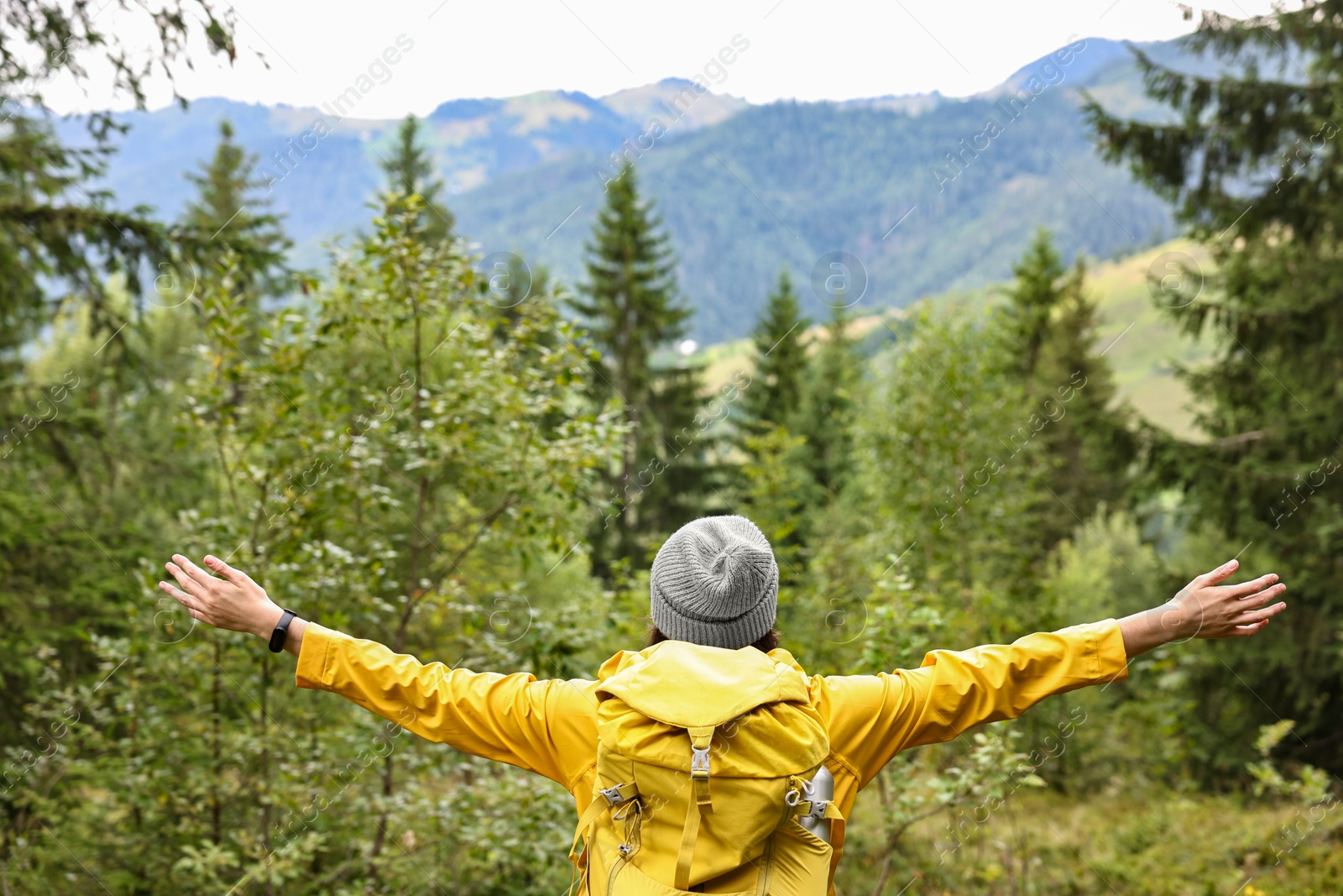 Photo of Young hiker with backpack in forest near mountains, back view. Space for text