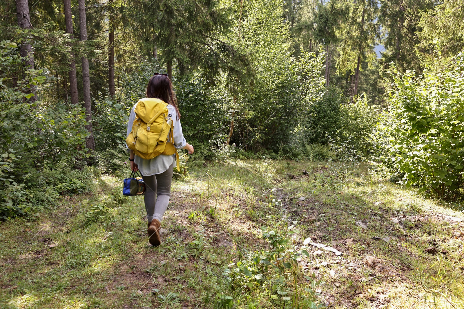 Photo of Young hiker with backpack walking in forest, back view