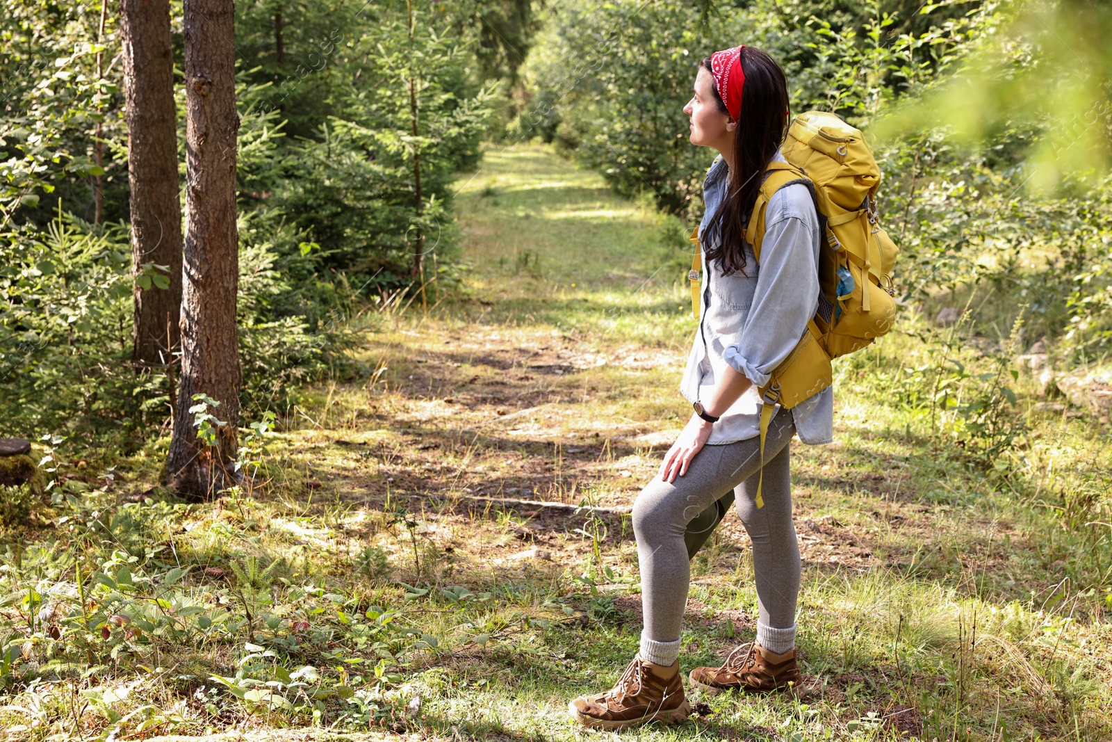 Photo of Young hiker with backpack enjoying time in forest