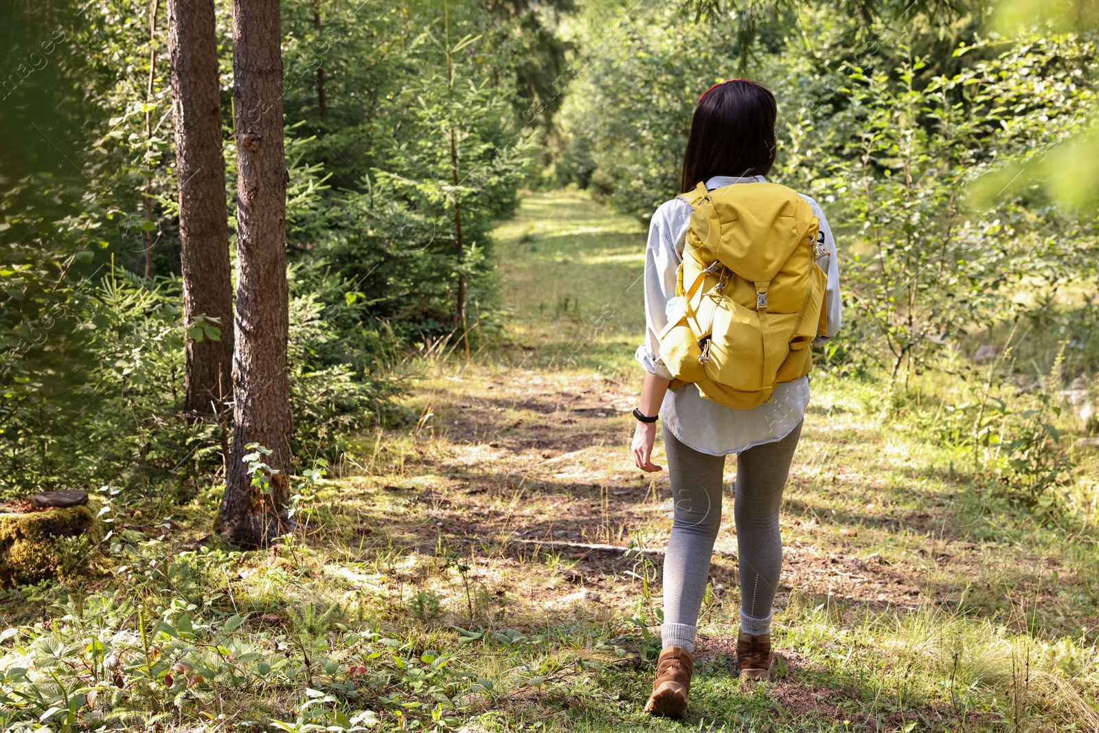 Photo of Young hiker with backpack walking in forest, back view