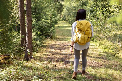 Young hiker with backpack walking in forest, back view