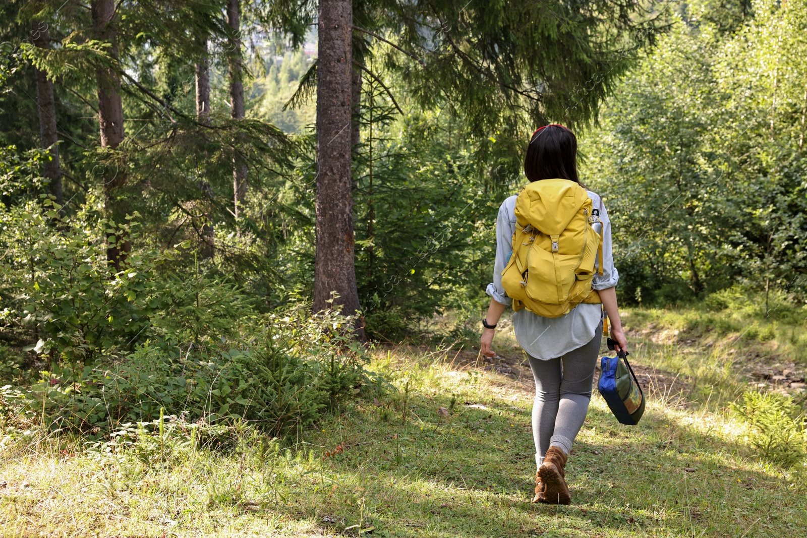 Photo of Young hiker with backpack walking in forest, back view