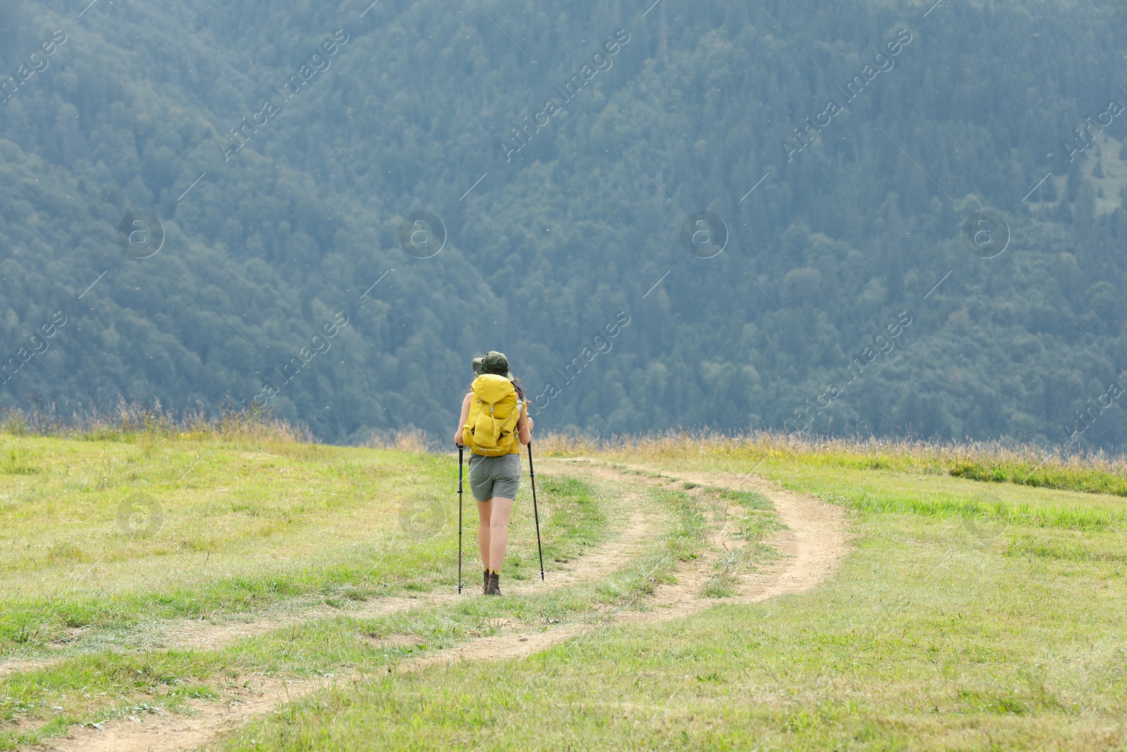 Photo of Young hiker with backpack and trekking poles in mountains, back view