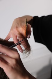 Hairdresser cutting client's hair with scissors in salon, closeup